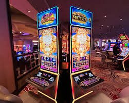 5500betvip